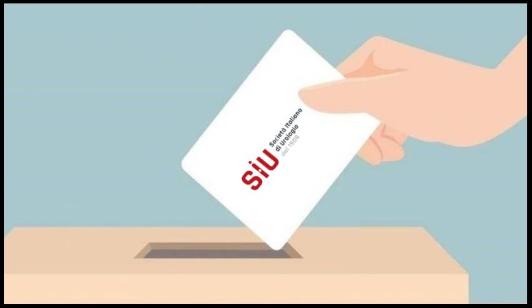box voto.jpg